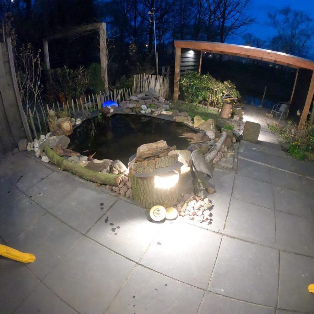 262805672_223783213206277_7128369591000790245_n