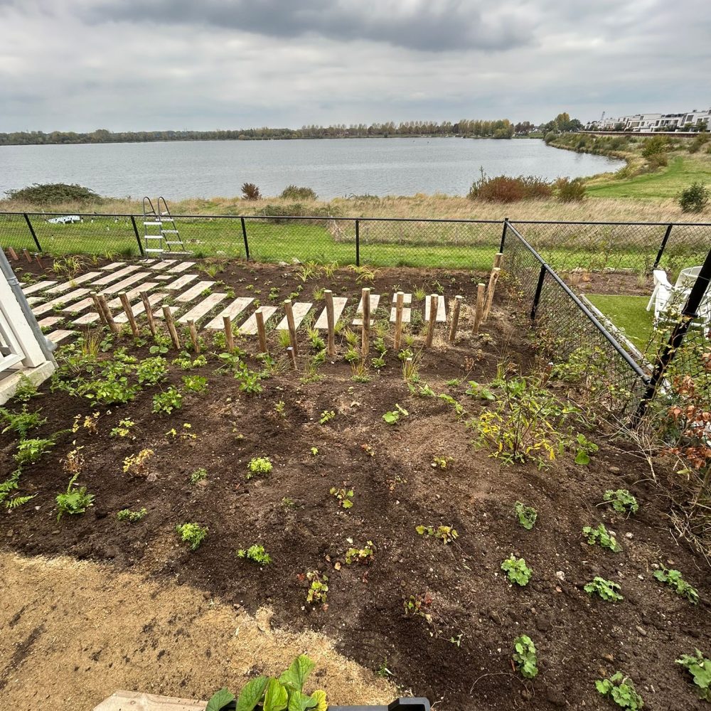 WhatsApp Image 2025-11-10 at 12.31.38