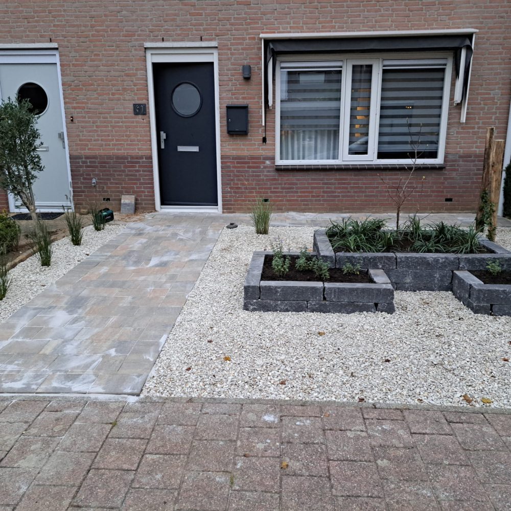 WhatsApp Image 2025-11-10 at 12.31.41