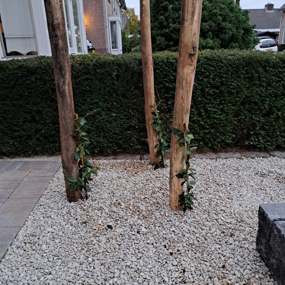 WhatsApp Image 2025-11-10 at 12.31.42 (1)