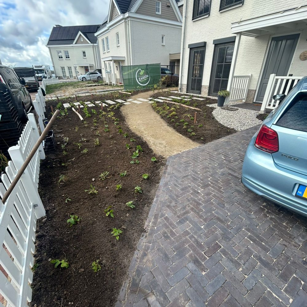 WhatsApp Image 2025-11-10 at 12.31.42 (3)