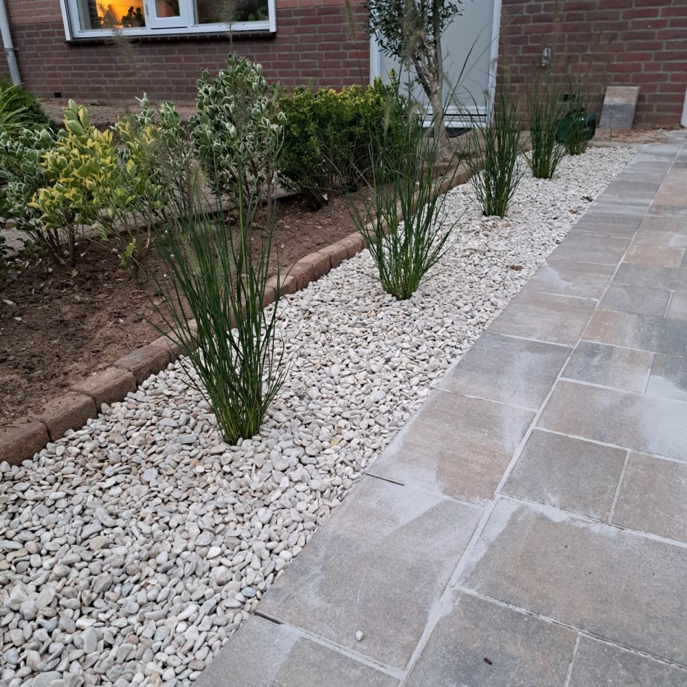 WhatsApp Image 2025-11-10 at 12.31.42