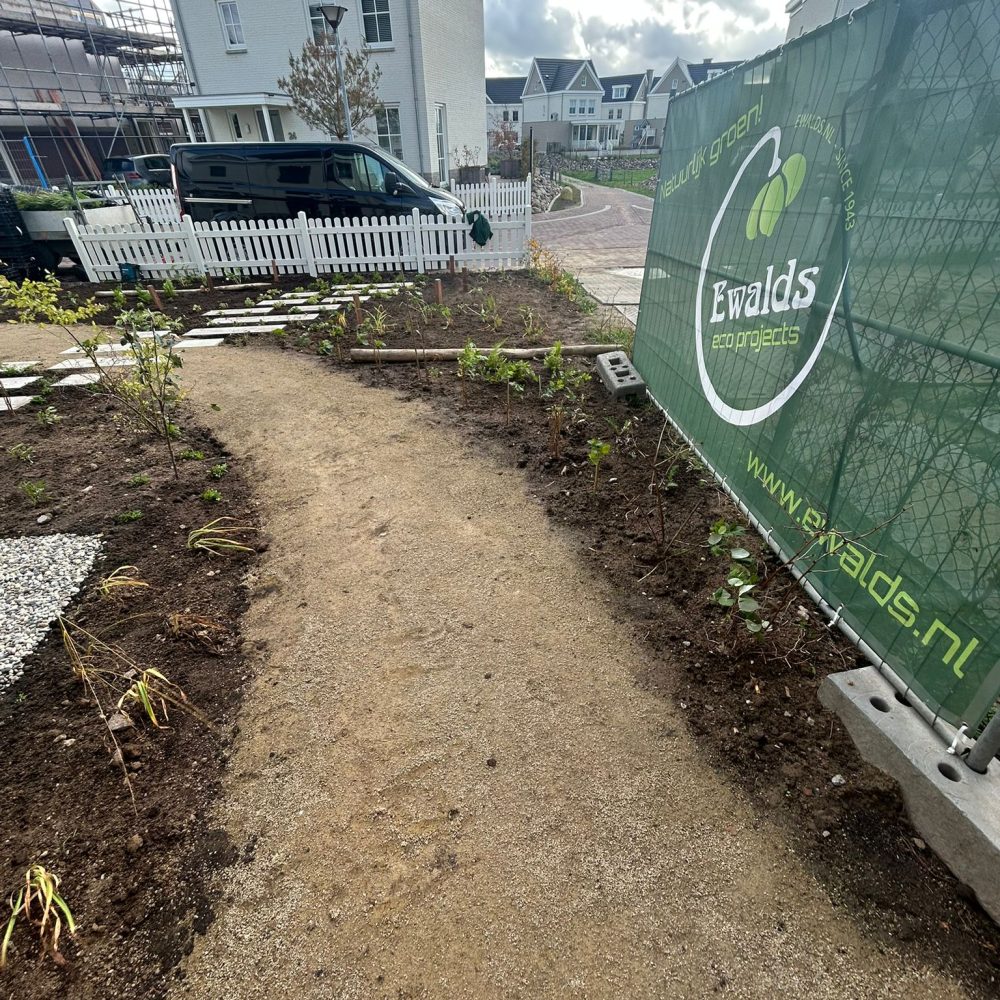 WhatsApp Image 2025-11-10 at 12.31.43