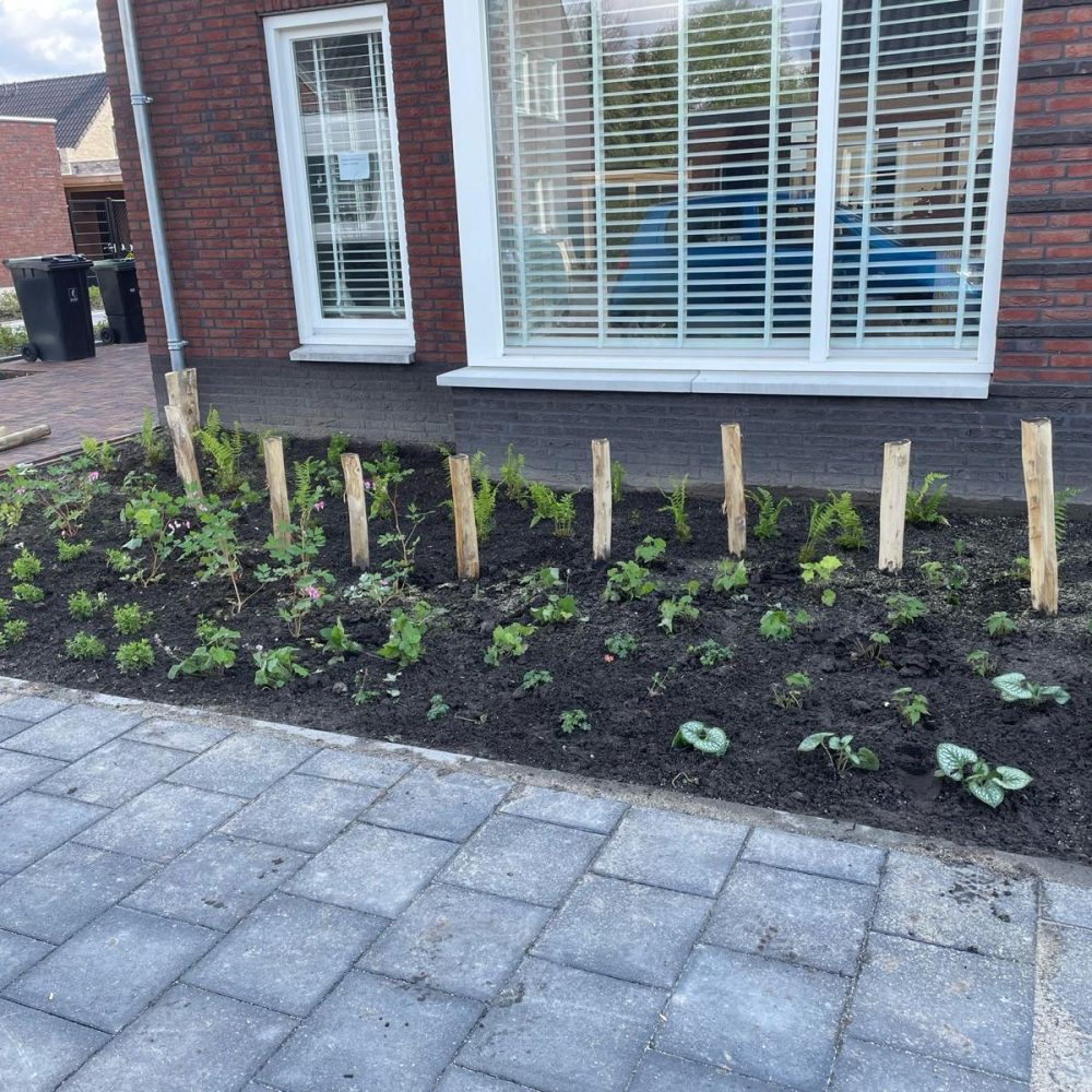 WhatsApp Image 2025-11-10 at 14.16.45 (1)