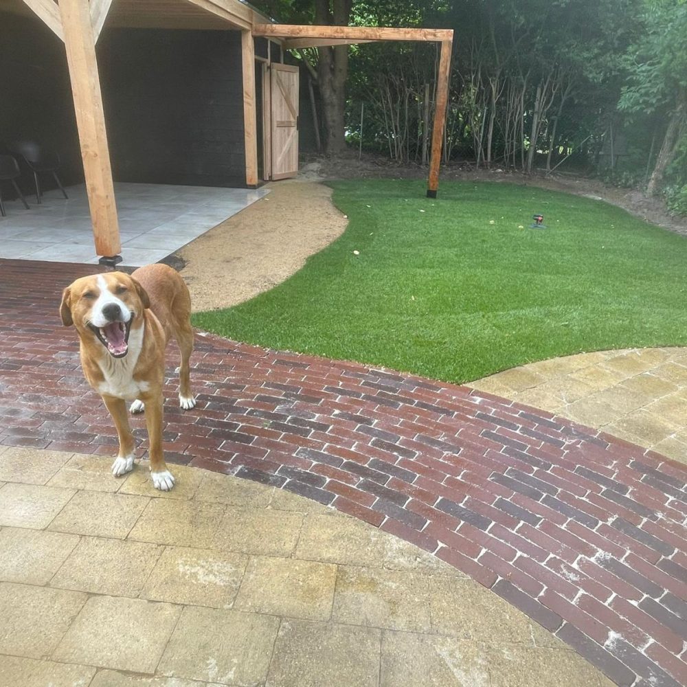 WhatsApp Image 2025-11-10 at 14.16.46 (4)