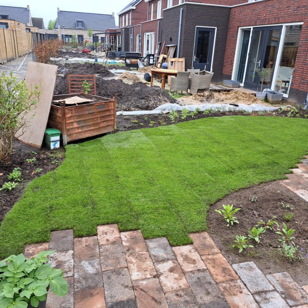 WhatsApp Image 2025-11-10 at 14.16.46